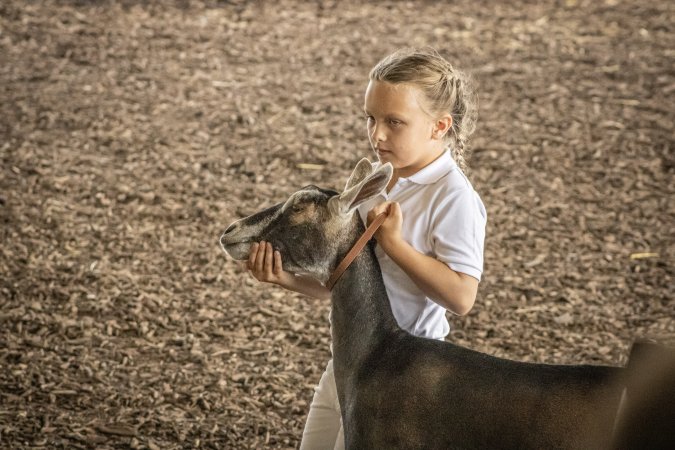 New Jersey State Fair 2026