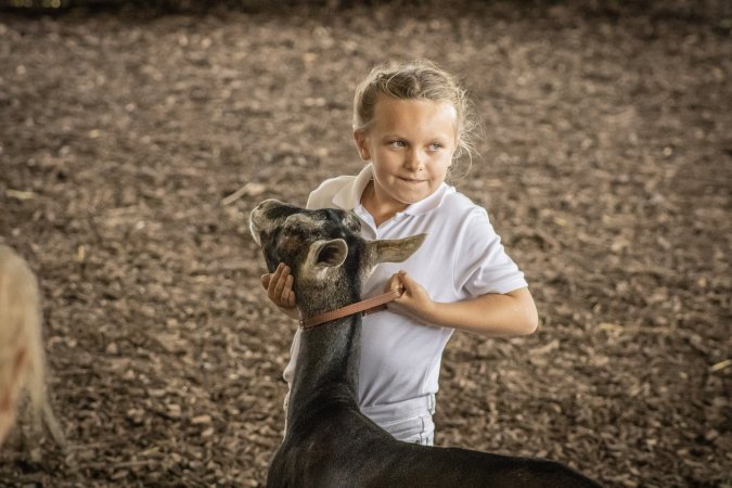 New Jersey State Fair 2026