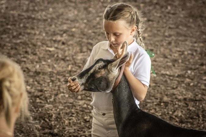 New Jersey State Fair 2026