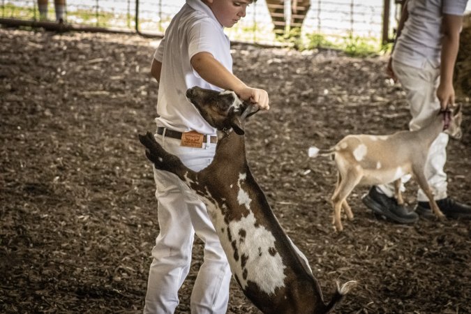 New Jersey State Fair 2026
