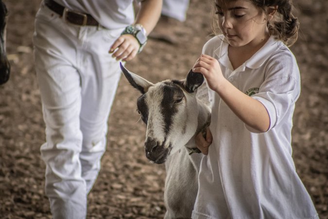 New Jersey State Fair 2026