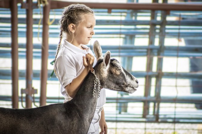 New Jersey State Fair 2026