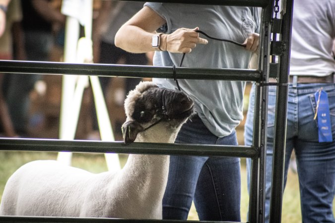 Somerset County 4-H Fair 2026