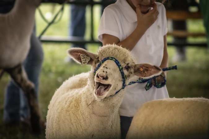 Somerset County 4-H Fair 2026