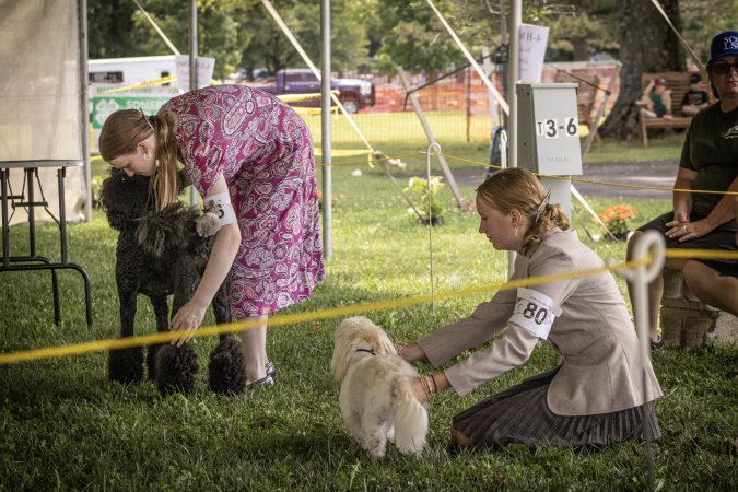 Somerset County 4-H Fair 2026