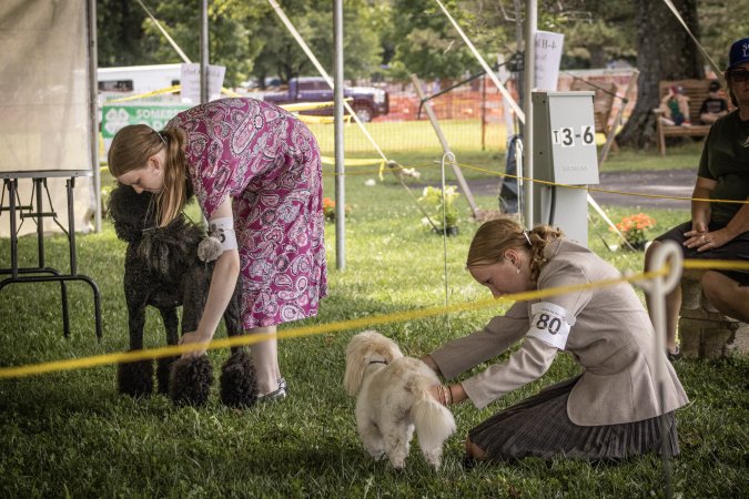 Somerset County 4-H Fair 2026