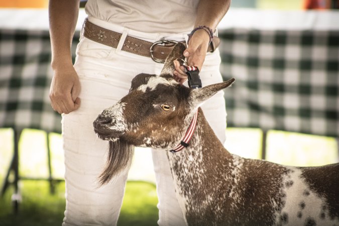 Somerset County 4-H Fair 2026