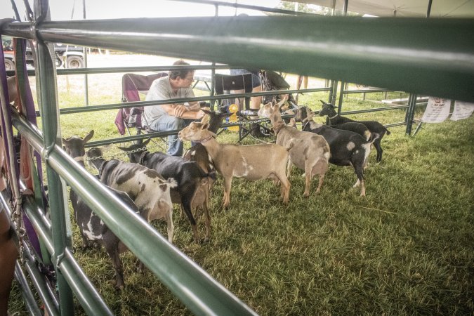 Somerset County 4-H Fair 2026