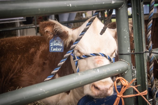 Somerset County 4-H Fair 2026