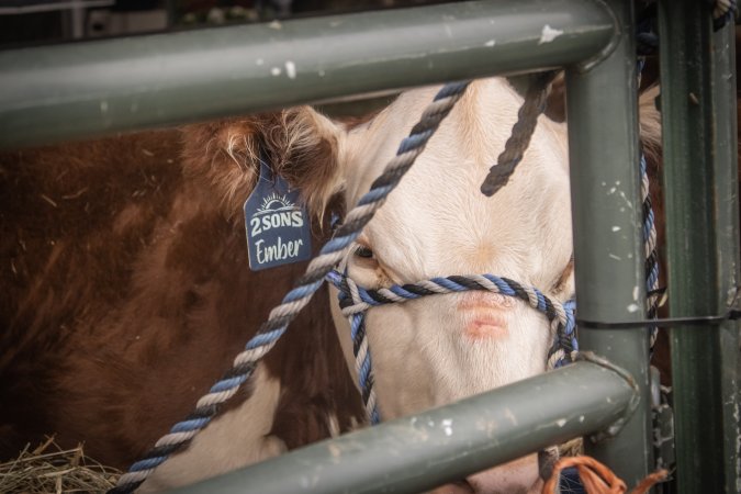 Somerset County 4-H Fair 2026