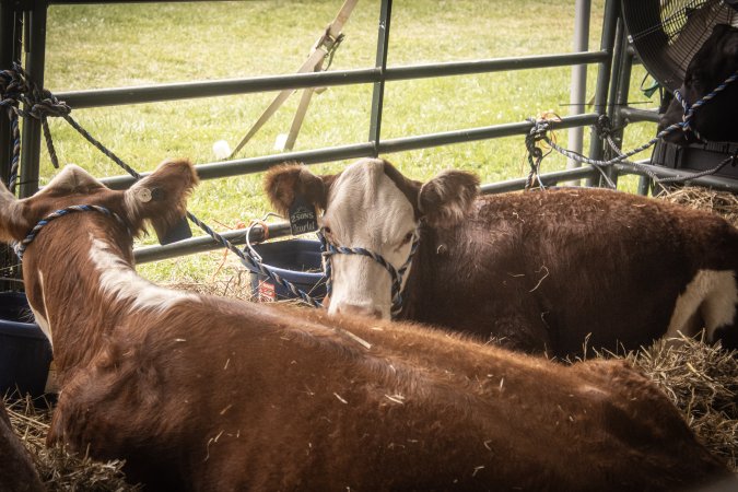 Somerset County 4-H Fair 2026
