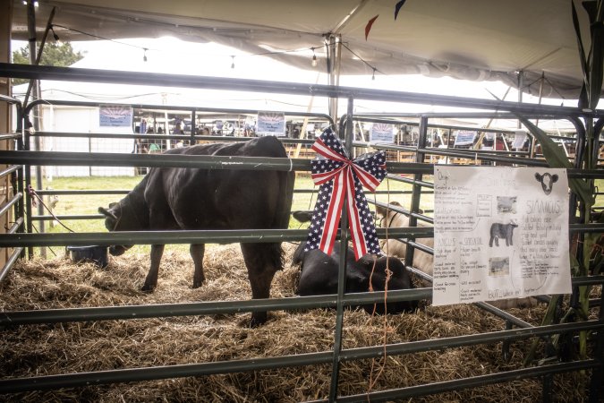 Somerset County 4-H Fair 2026