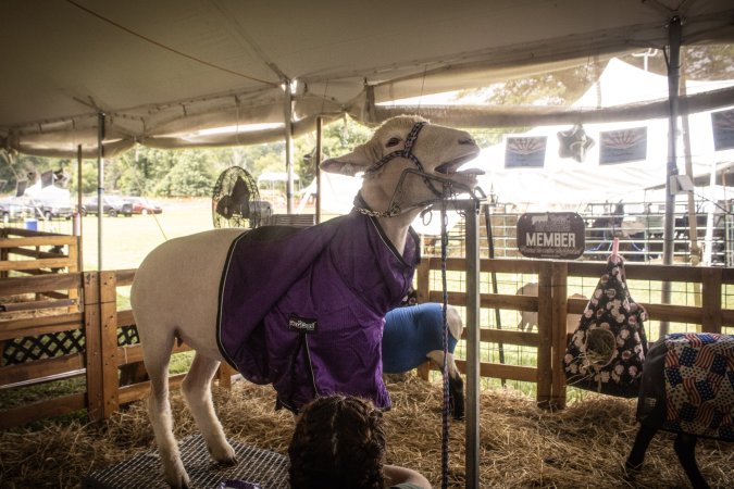 Somerset County 4-H Fair 2026