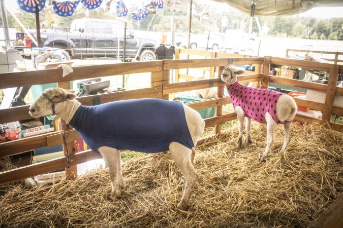 Somerset County 4-H Fair 2026