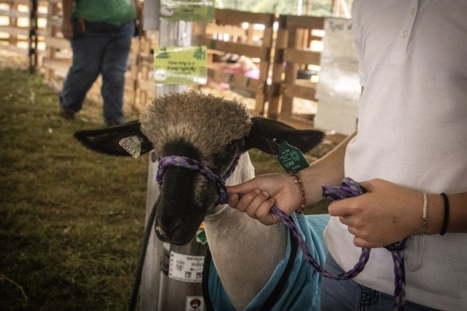 Somerset County 4-H Fair 2026