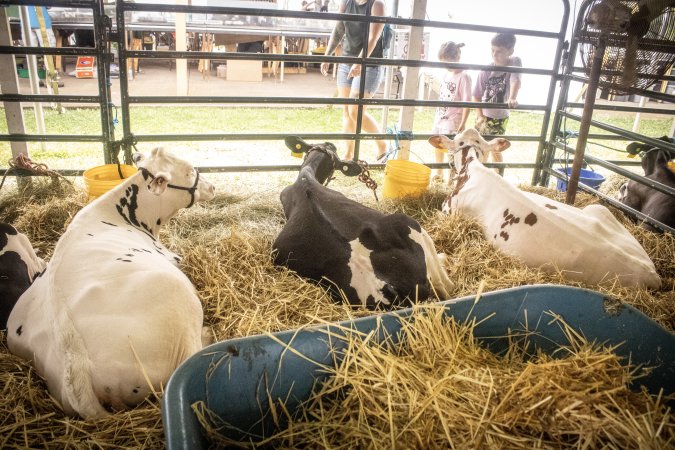 Somerset County 4-H Fair 2026