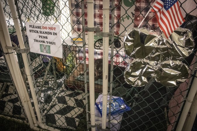 Somerset County 4-H Fair 2026