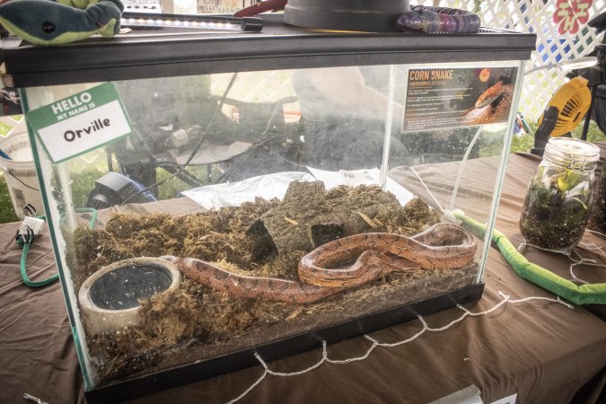 Somerset County 4-H Fair 2026