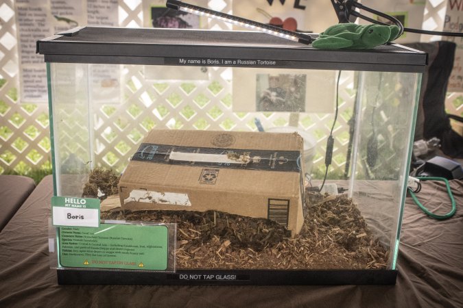 Somerset County 4-H Fair 2026