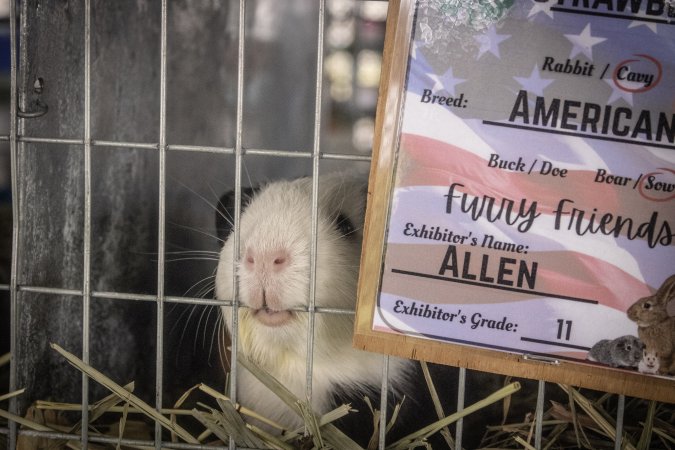 Somerset County 4-H Fair 2026