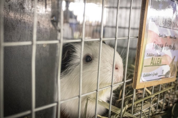 Somerset County 4-H Fair 2026