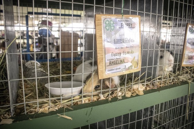 Somerset County 4-H Fair 2026