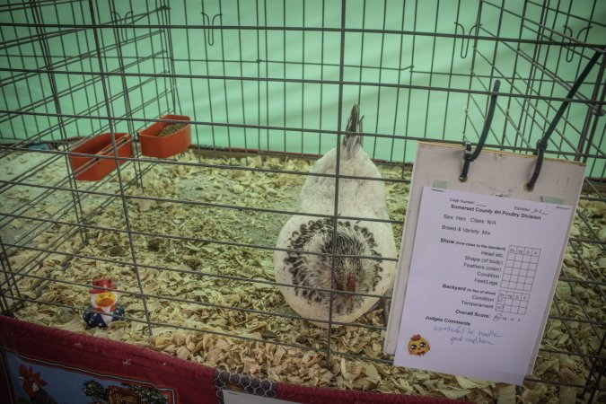 Somerset County 4-H Fair 2026