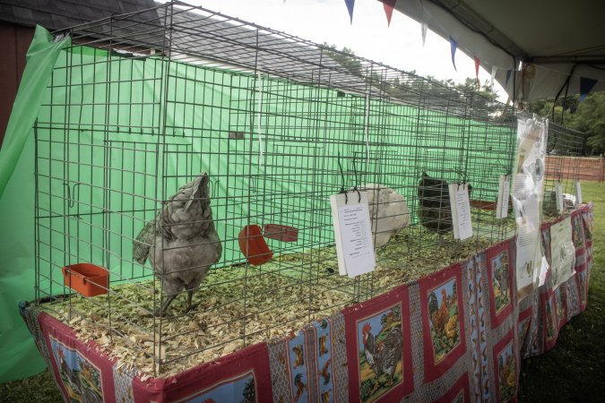 Somerset County 4-H Fair 2026