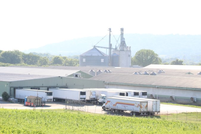 Outside of Ise Farms 2019
