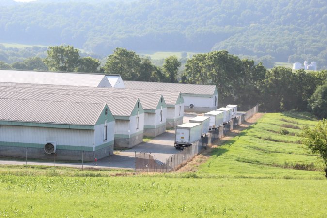 Outside of Ise Farms 2019