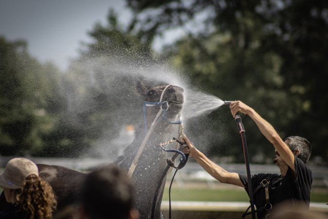 Monmouth Park September 2026
