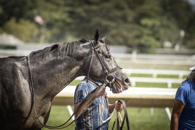 Monmouth Park September 2026