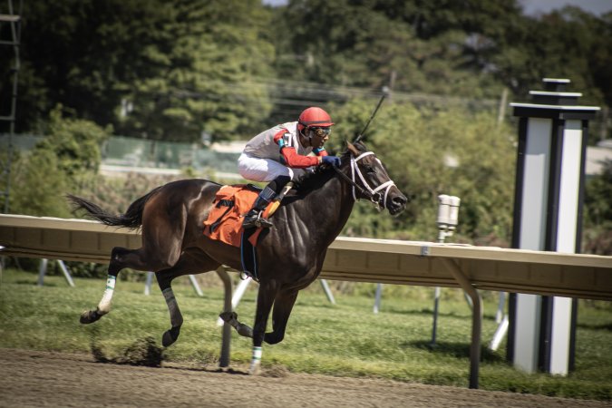 Monmouth Park September 2026