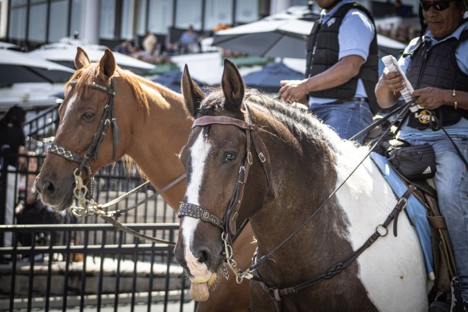 Monmouth Park September 2026