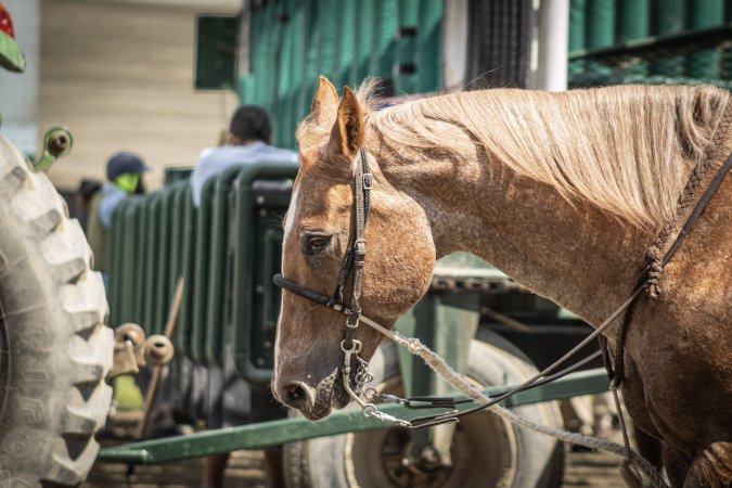 Monmouth Park September 2026