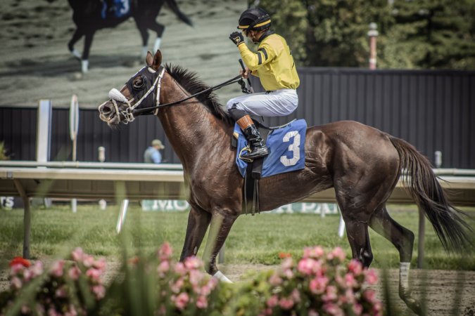 Monmouth Park September 2026