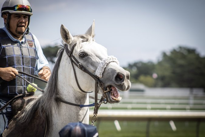 Monmouth Park September 2026