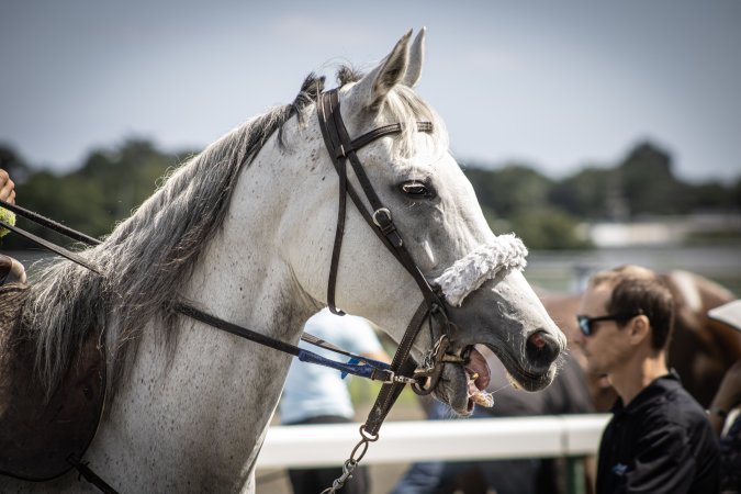 Monmouth Park September 2026