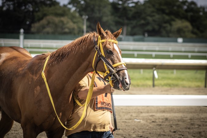 Monmouth Park September 2026