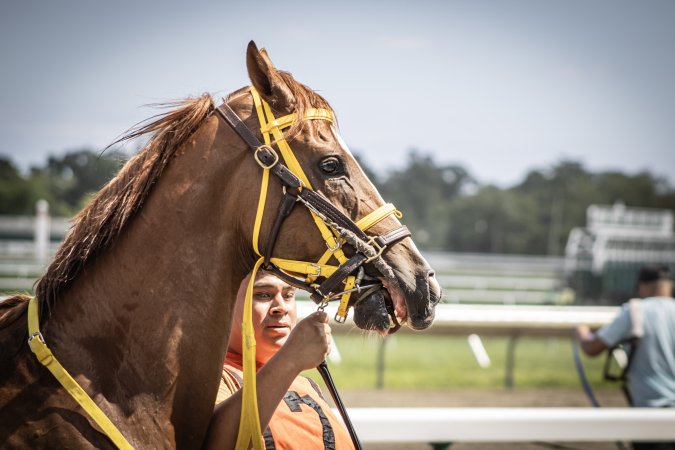 Monmouth Park September 2026