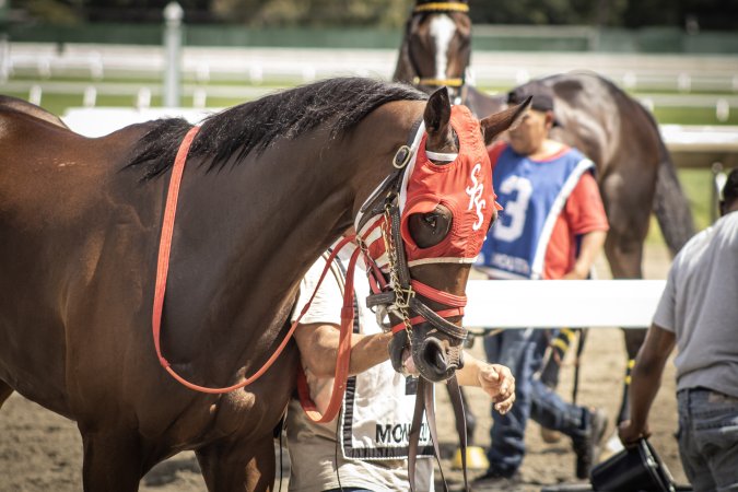 Monmouth Park September 2026