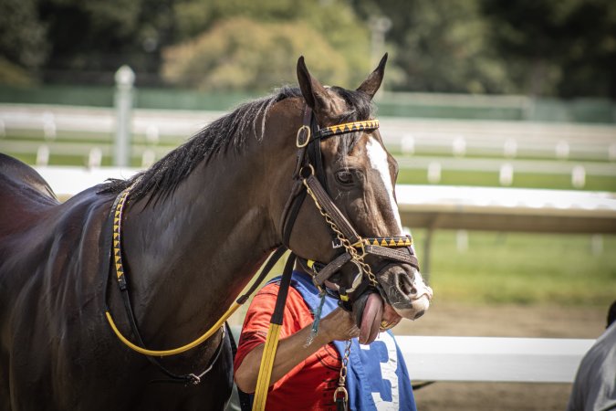 Monmouth Park September 2026