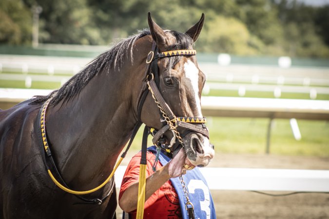 Monmouth Park September 2026