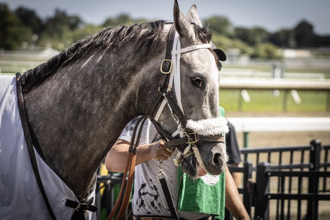 Monmouth Park September 2026