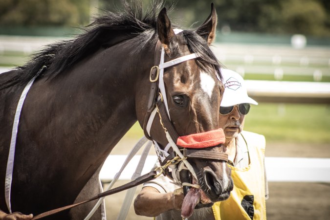 Monmouth Park September 2026