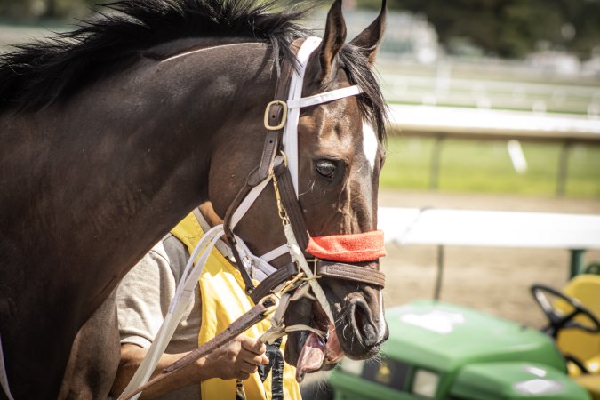 Monmouth Park September 2026