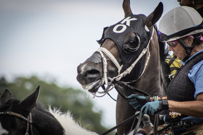 Monmouth Park September 2026