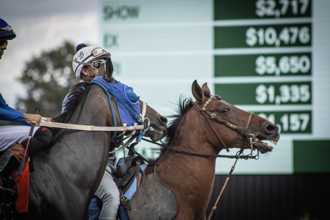 Monmouth Park September 2026