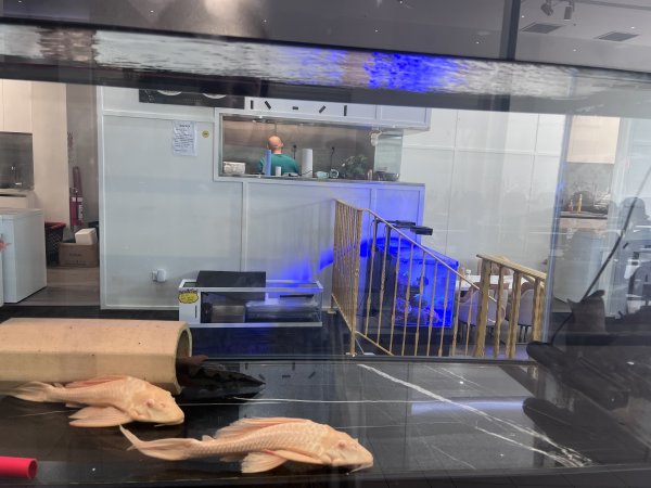 Aquarium Cafe - Photos