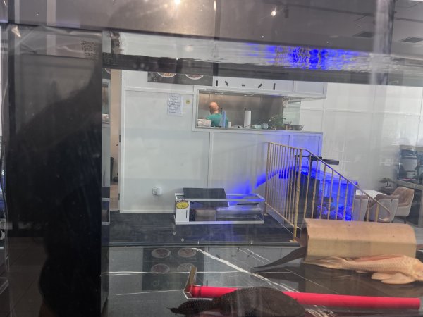 Aquarium Cafe - Photos